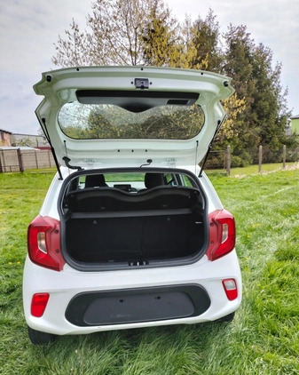 Kia Picanto cena 30000 przebieg: 36251, rok produkcji 2018 z Głuchołazy małe 172